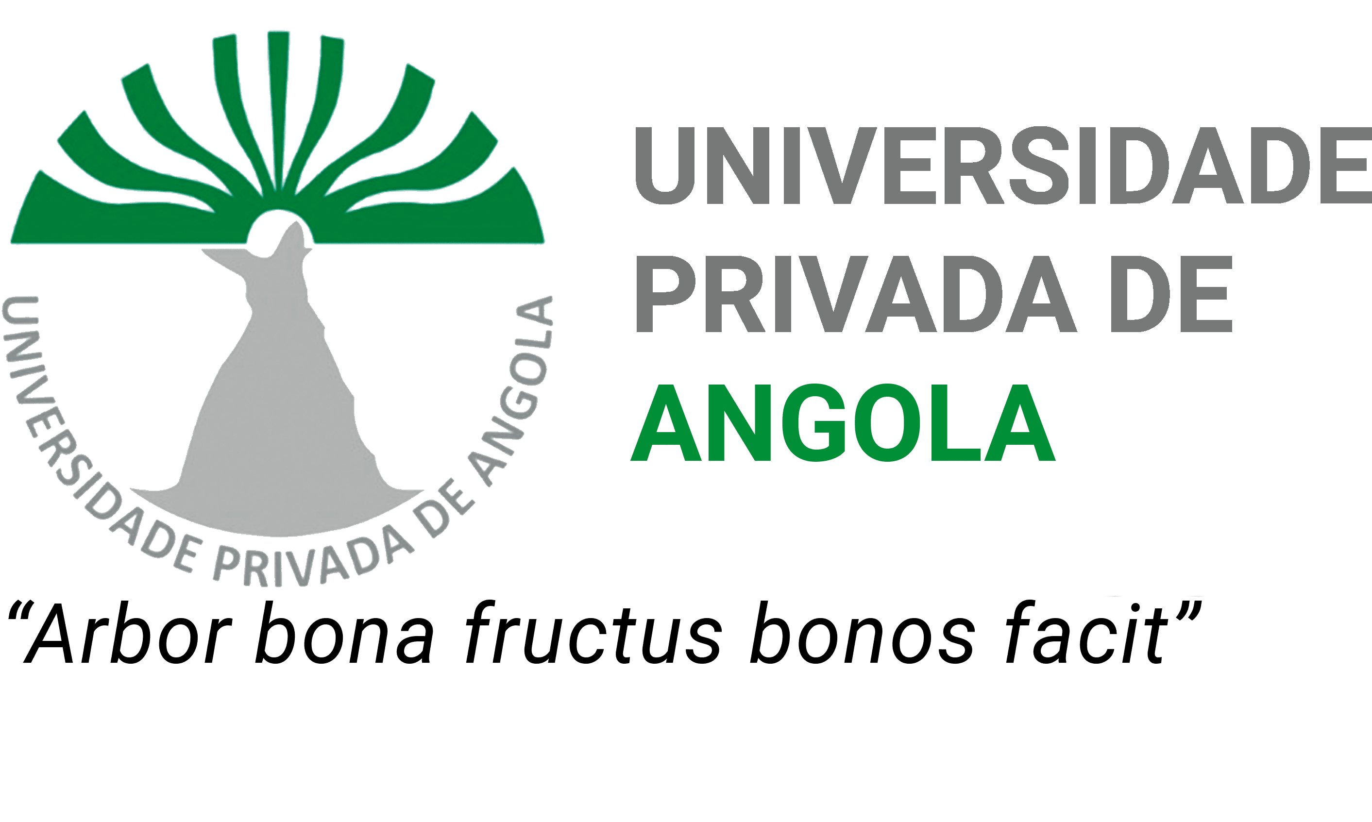 Universidade Privada de Angola